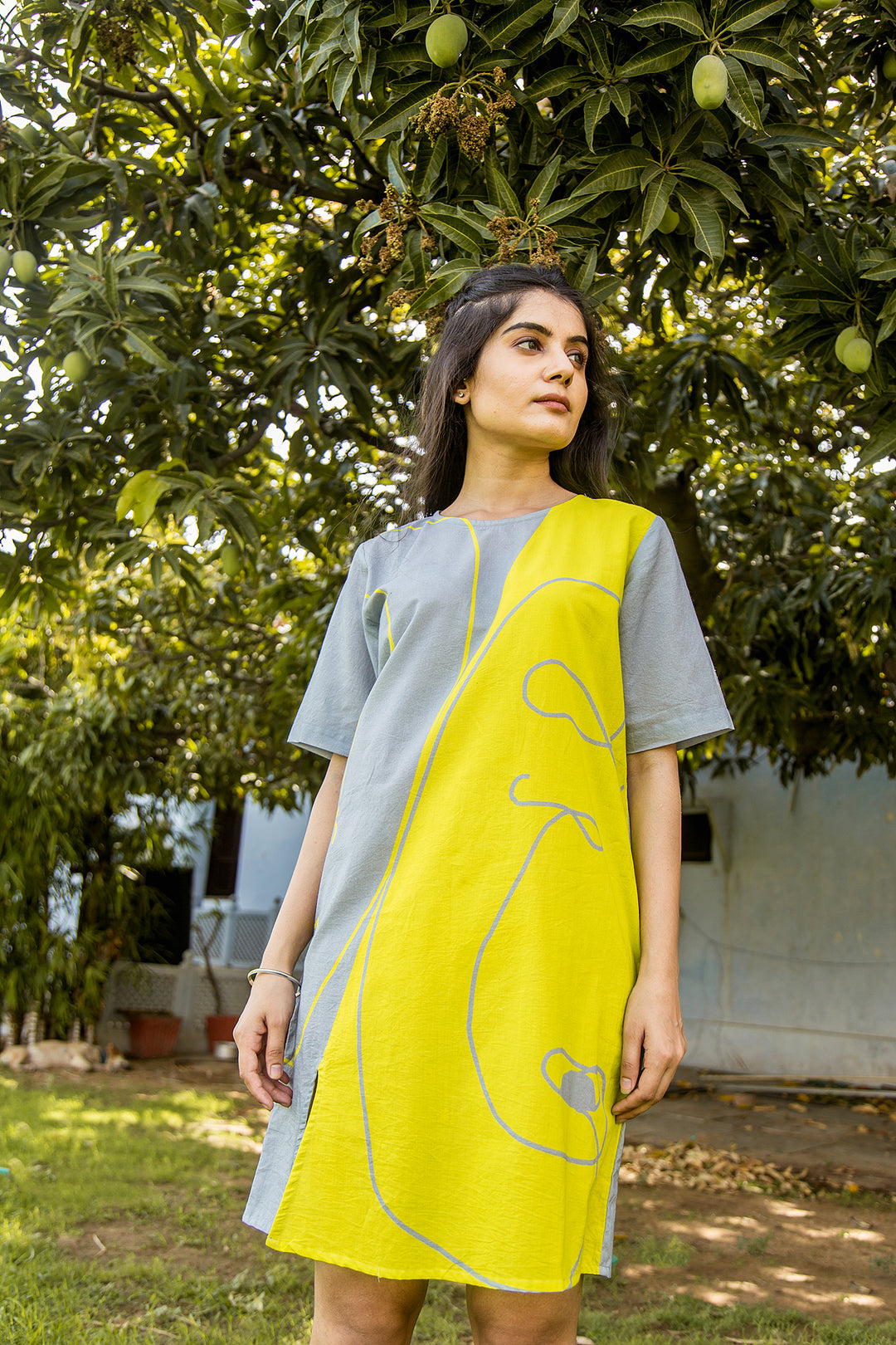 Aiofe Side Slit Cotton Dress
